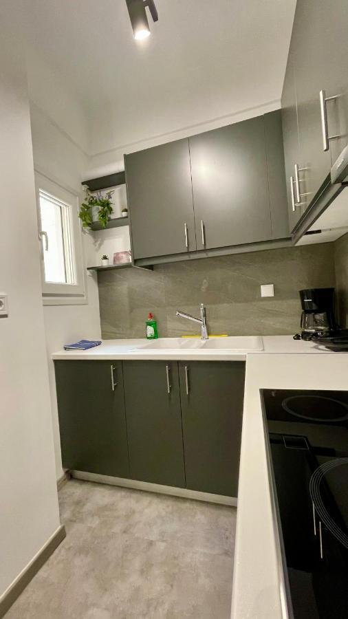 Gorgeous Renovated Apt. Close To Metro And Cultural Sites! Athens Luaran gambar
