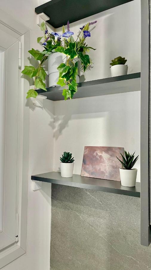 Gorgeous Renovated Apt. Close To Metro And Cultural Sites! Athens Luaran gambar